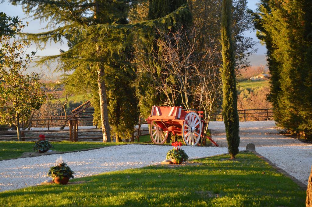 Agriturismo La Collina ピティリアーノ 部屋 写真