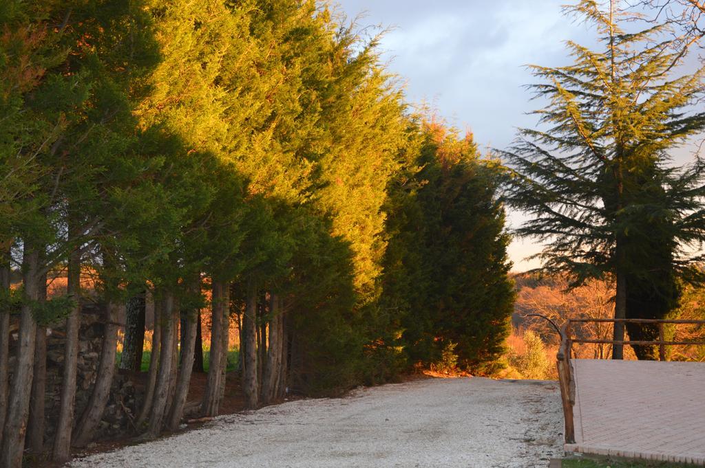 Agriturismo La Collina ピティリアーノ エクステリア 写真
