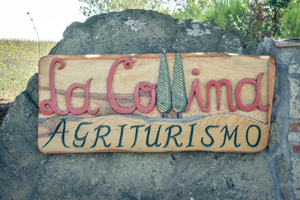 Agriturismo La Collina ピティリアーノ エクステリア 写真